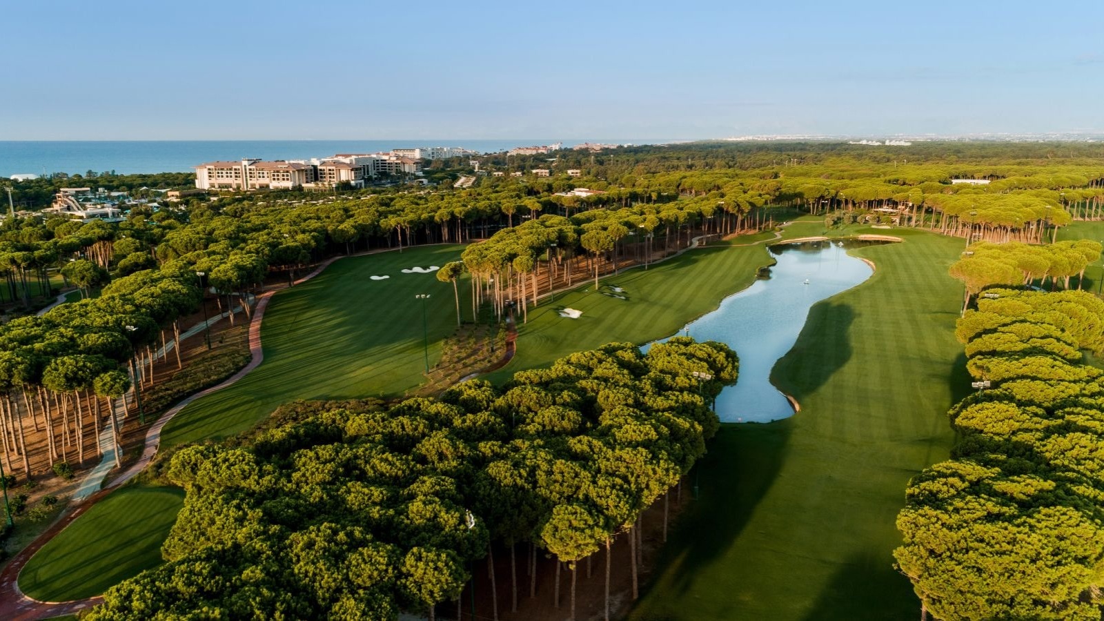 Carya