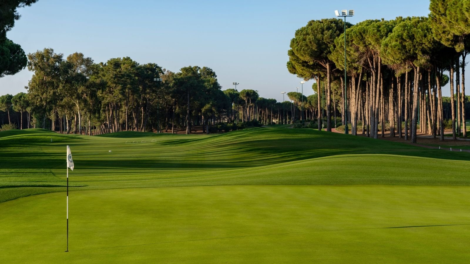 Golf Image