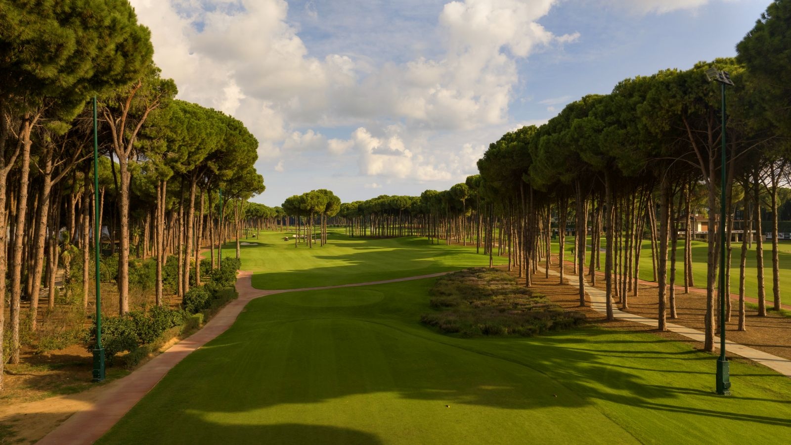 Golf Image