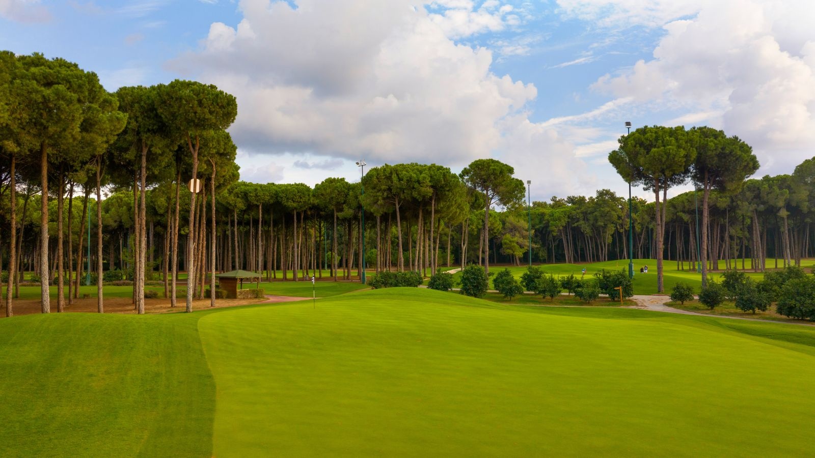 Golf Image