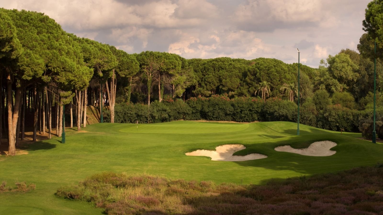 Golf Image
