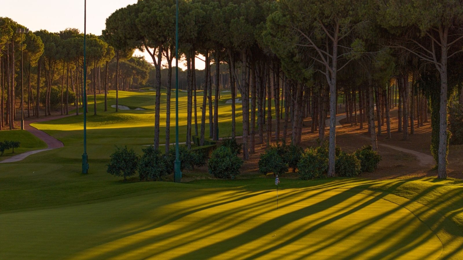 Golf Image
