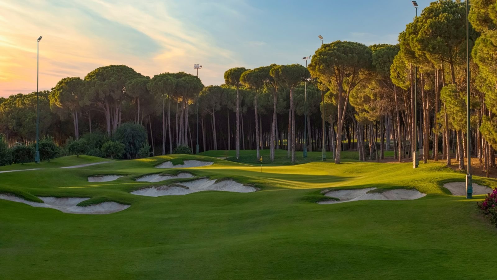 Golf Image