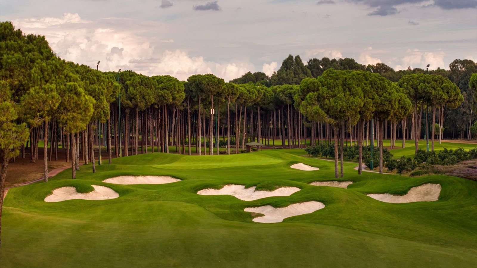 Golf Image