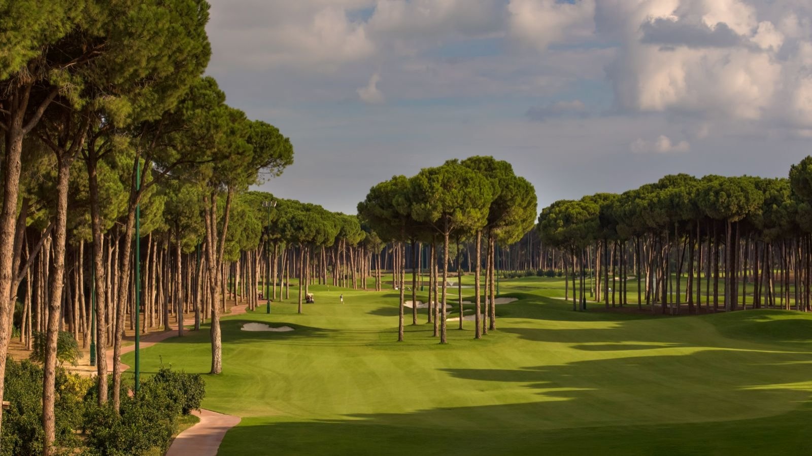 Golf Image