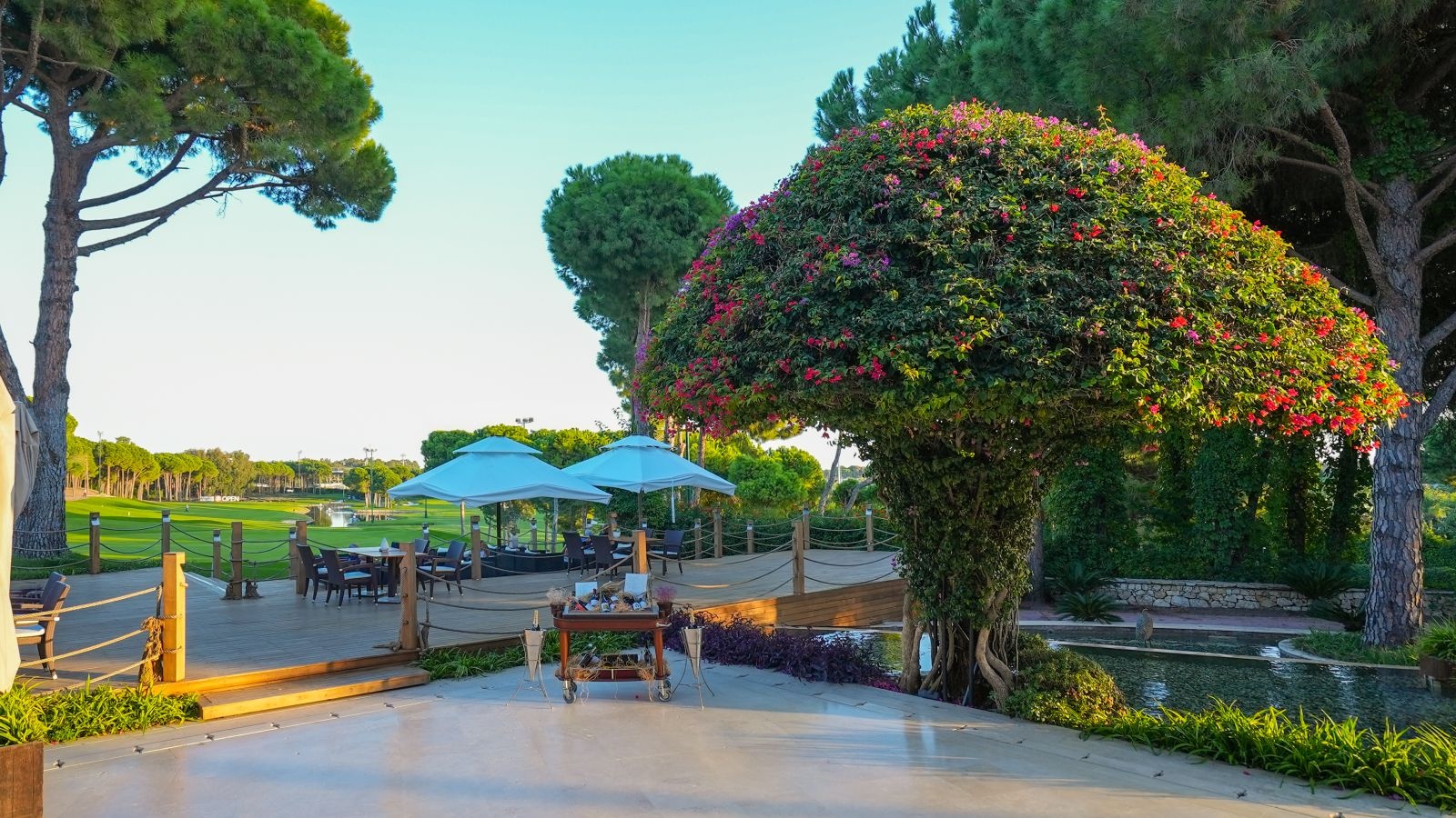 Golf Image