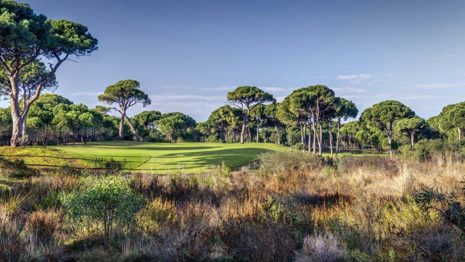 Golf Image