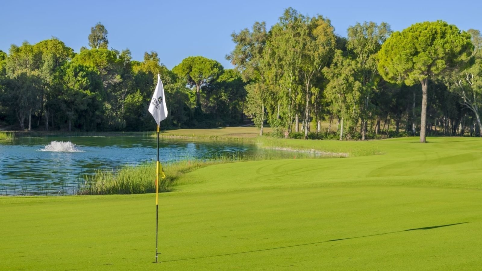 Golf Image
