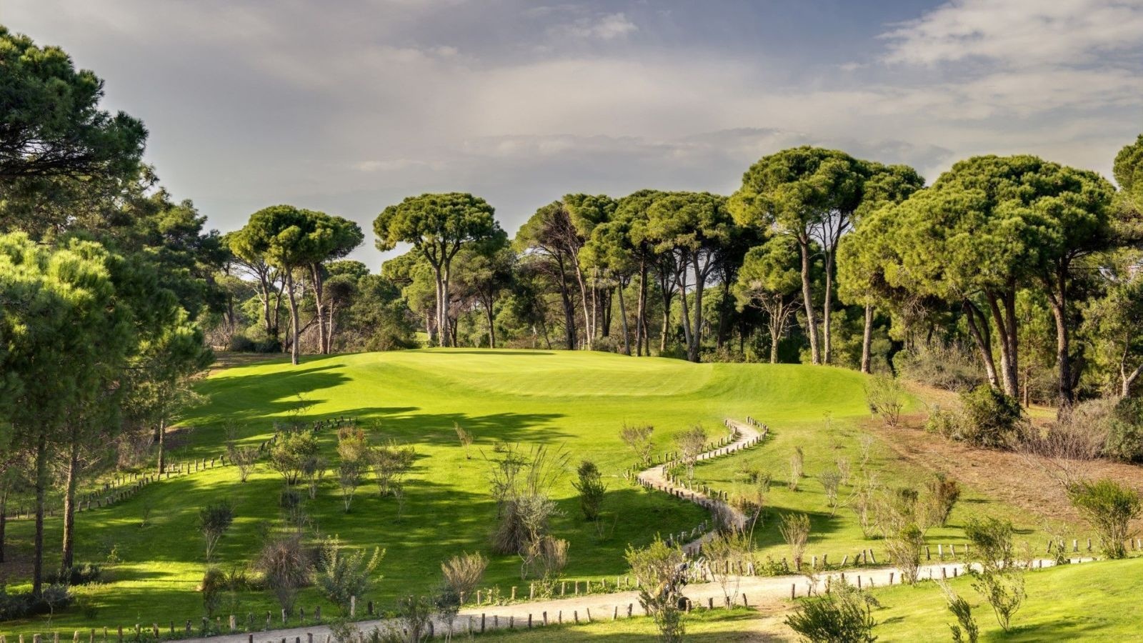 Golf Image