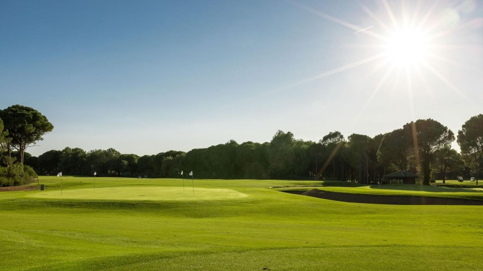 Golf Image