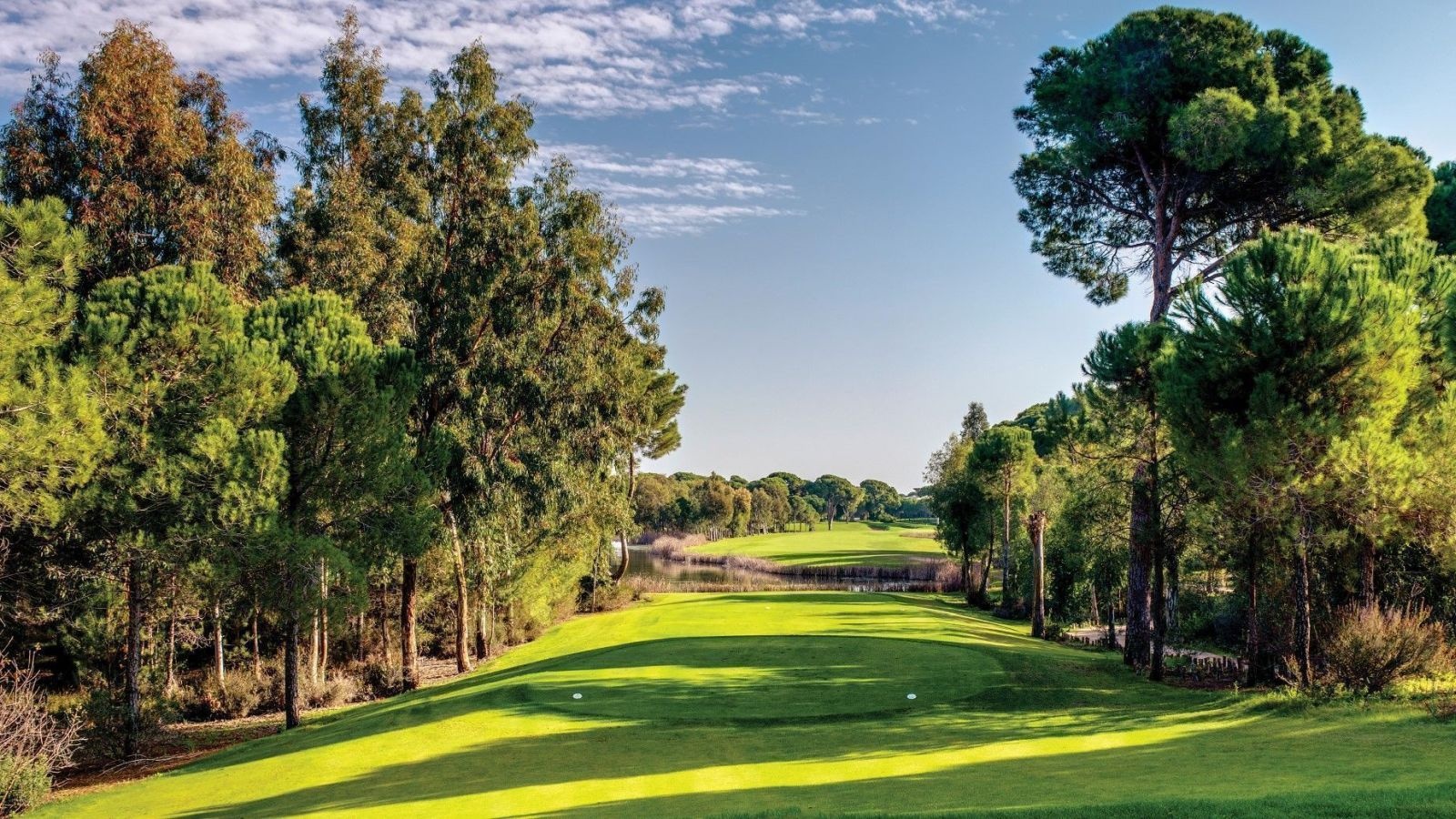 Golf Image