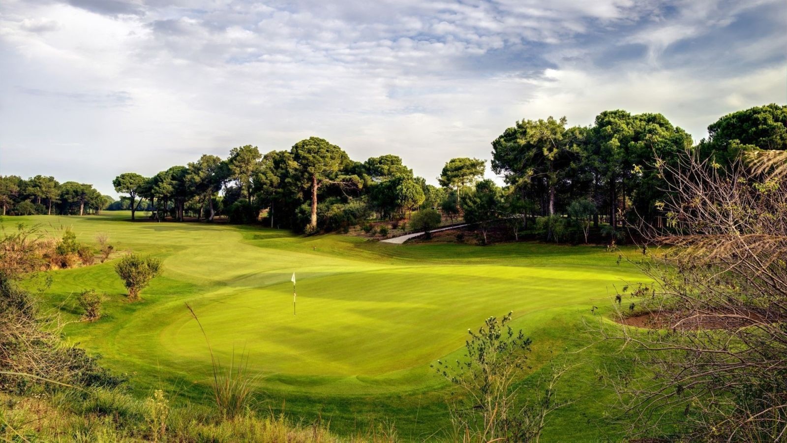Golf Image