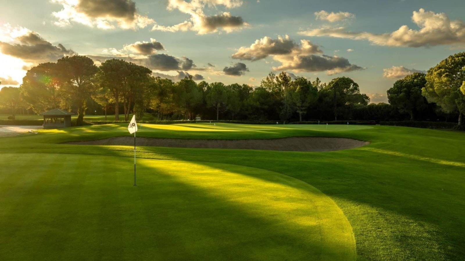 Golf Image