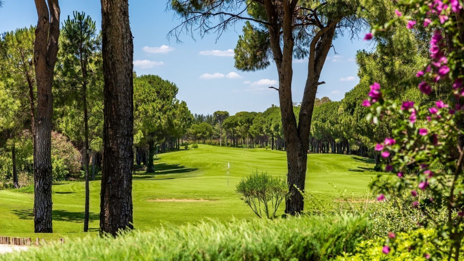 Golf Image