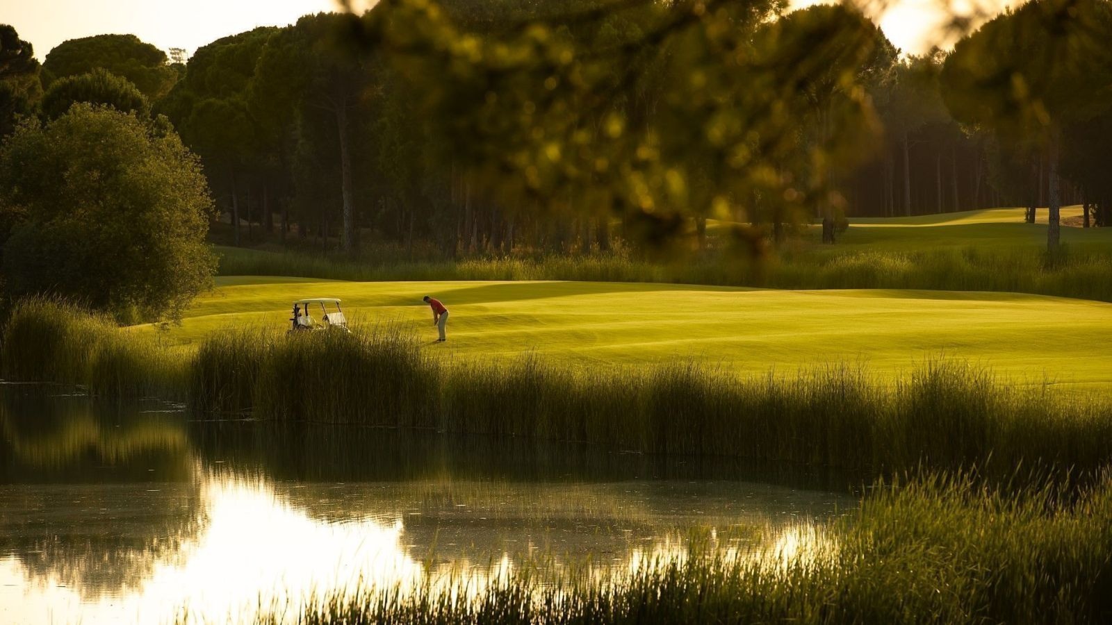 Golf Image