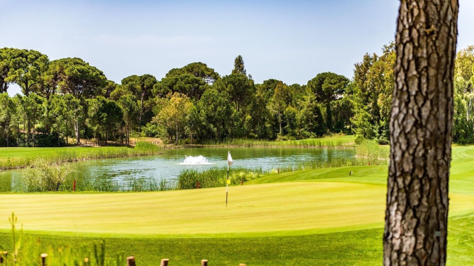 Golf Image