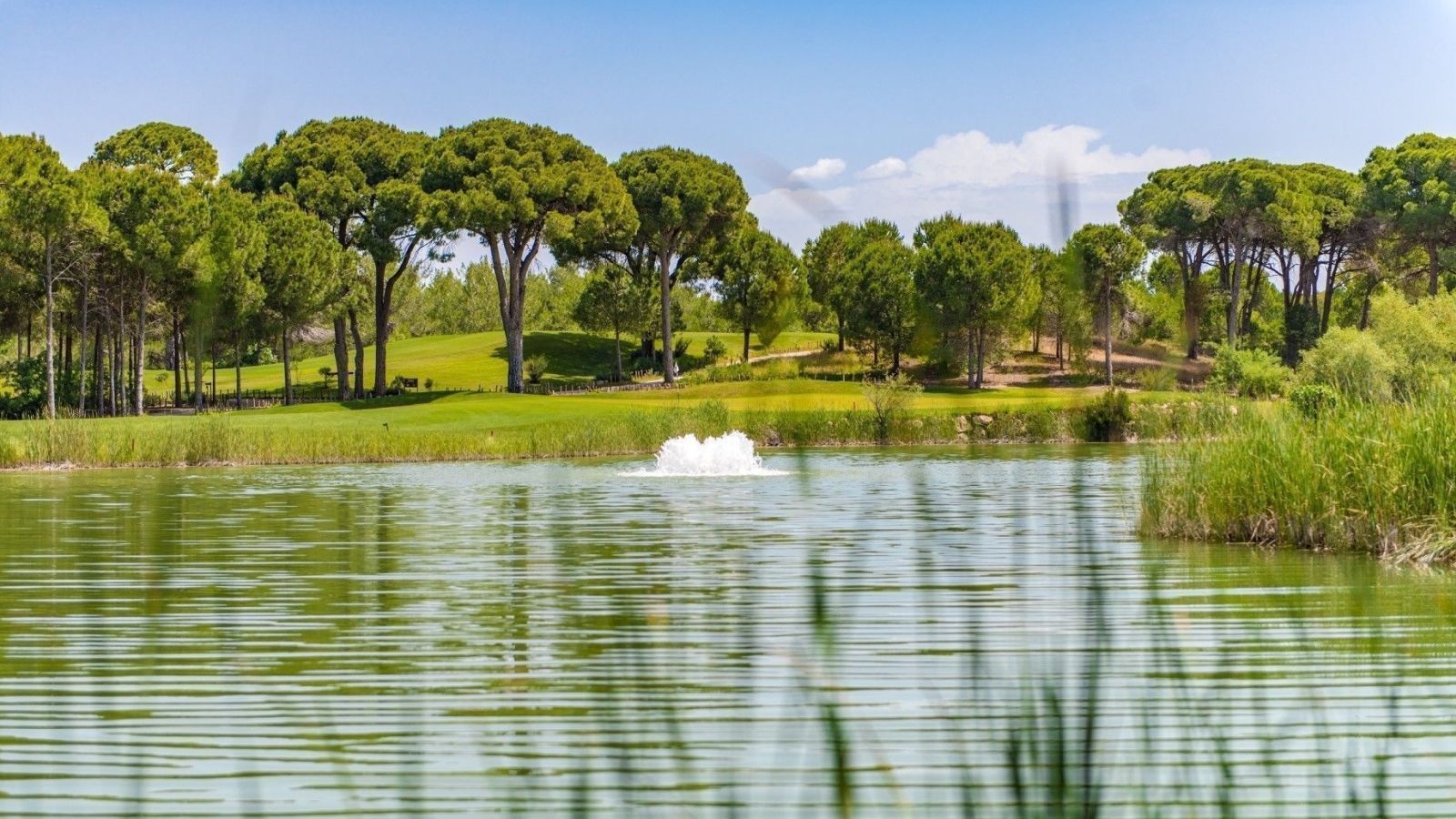 Golf Image