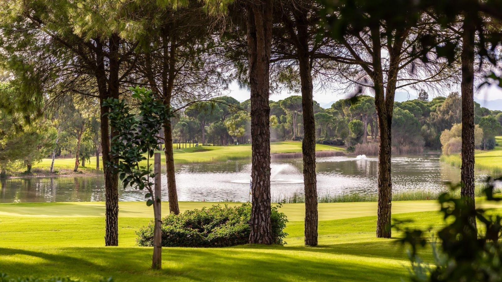 Golf Image