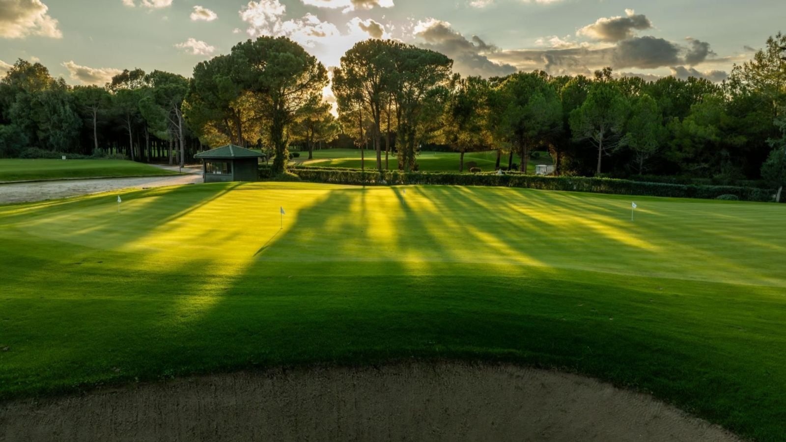 Golf Image