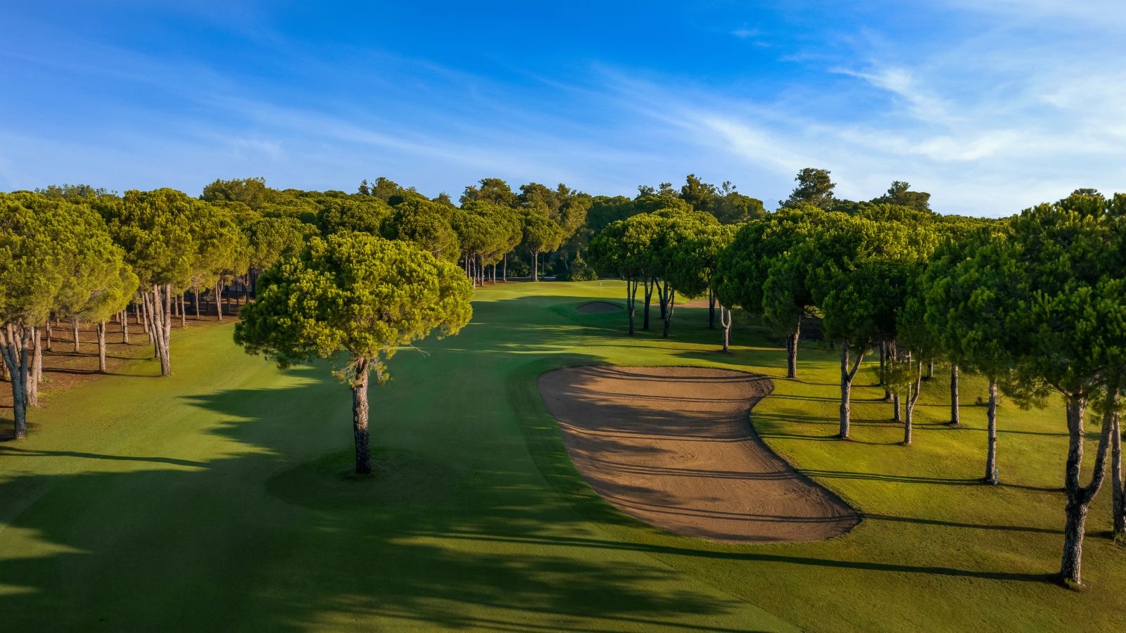 Golf Image