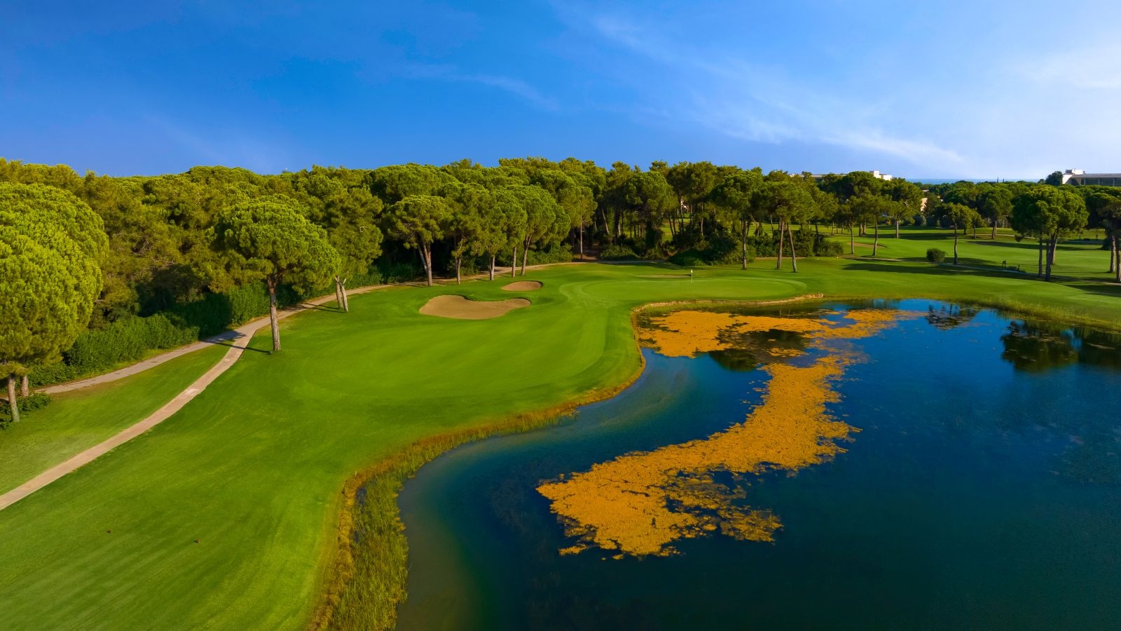 Golf Image