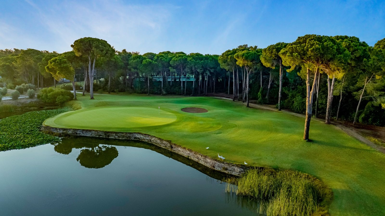 Golf Image
