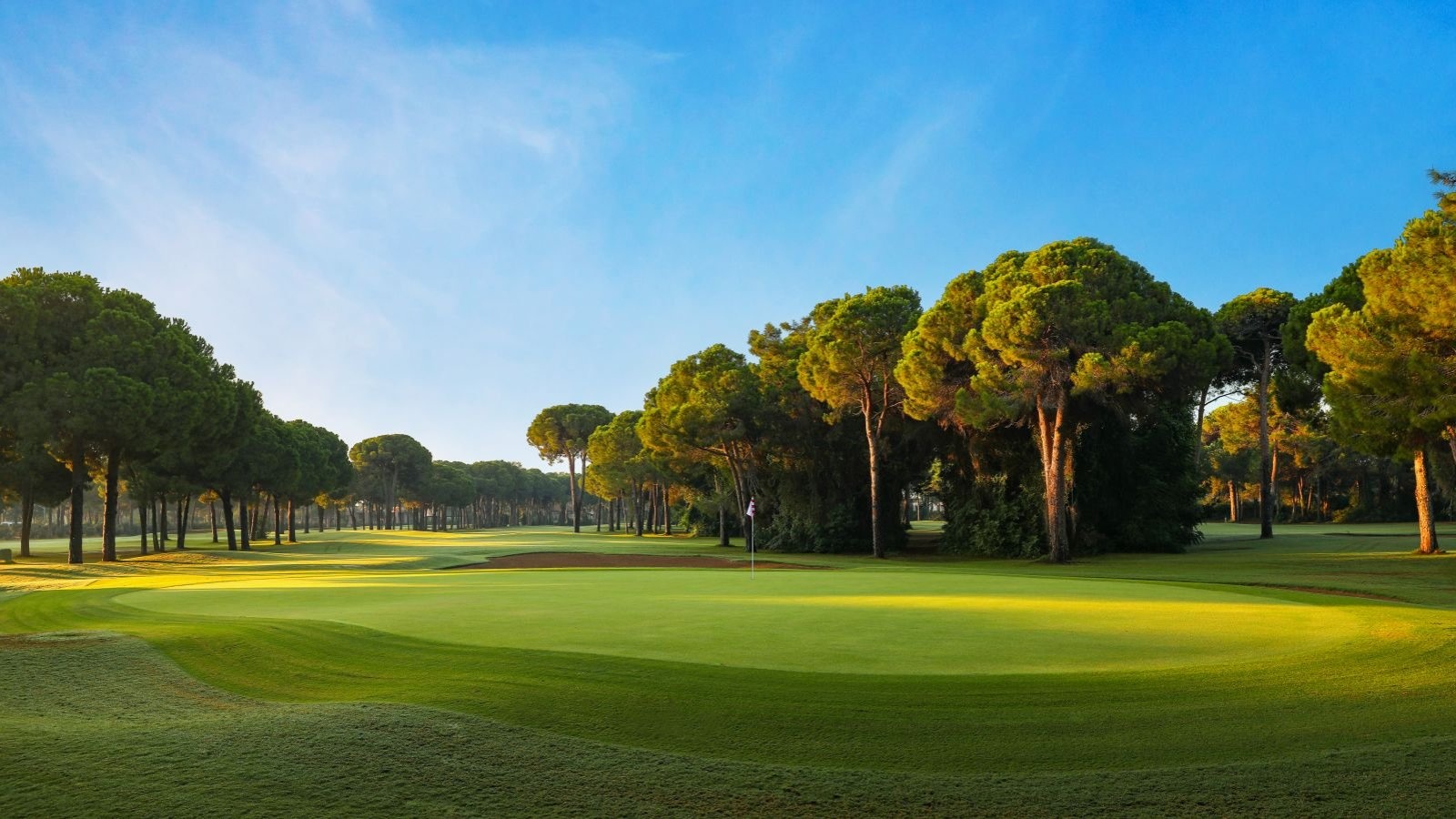 Golf Image