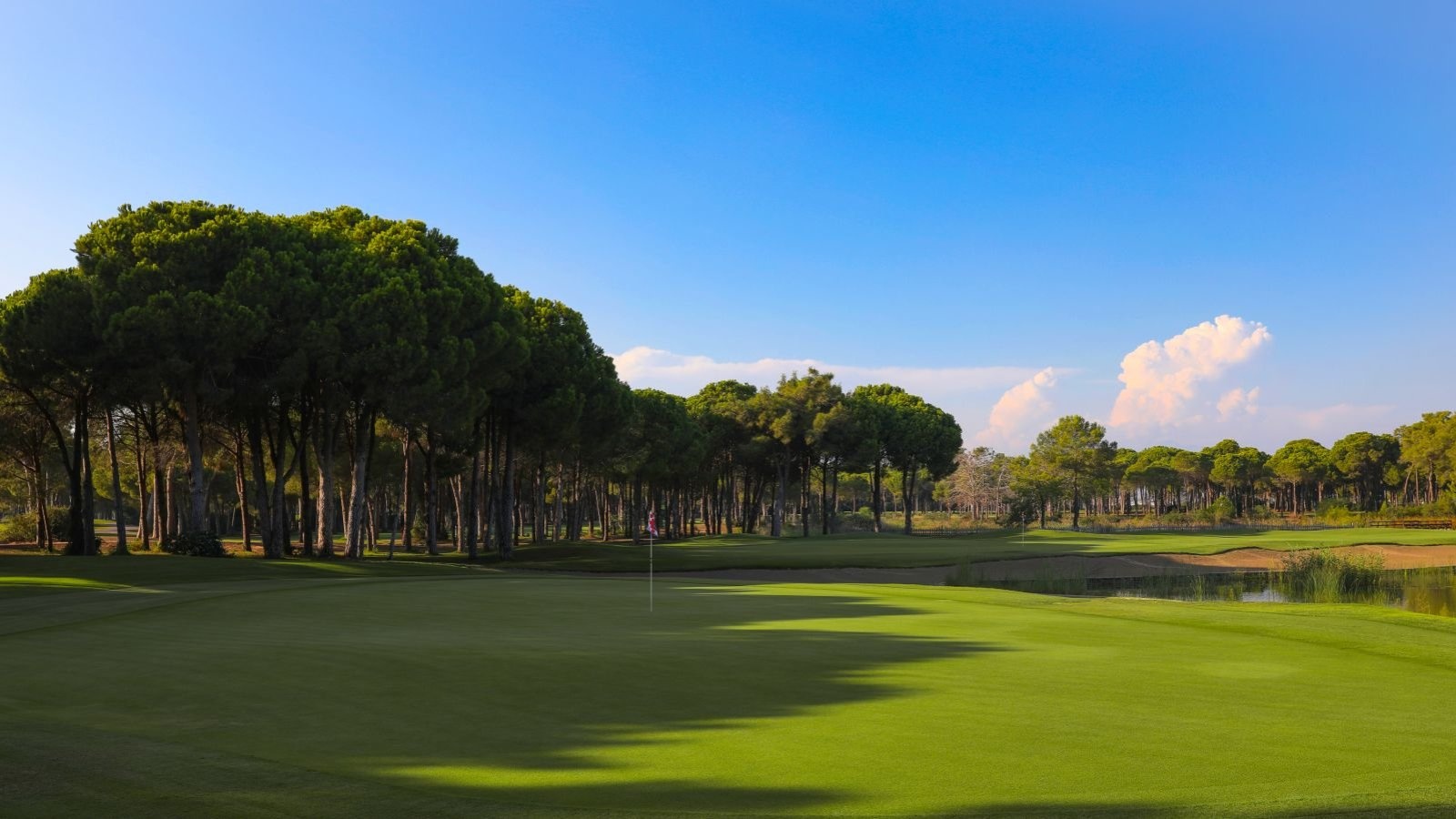 Golf Image