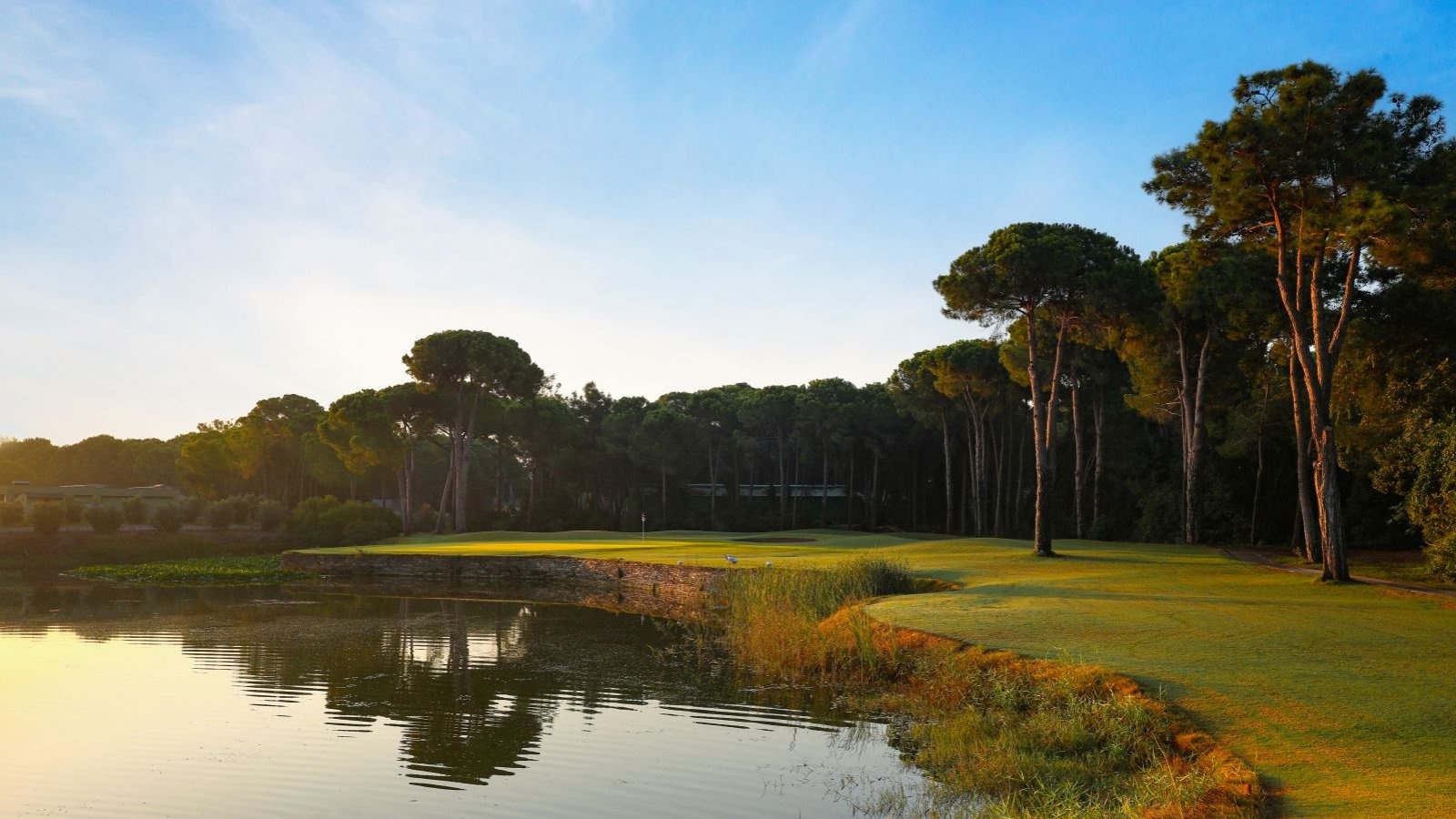 Golf Image