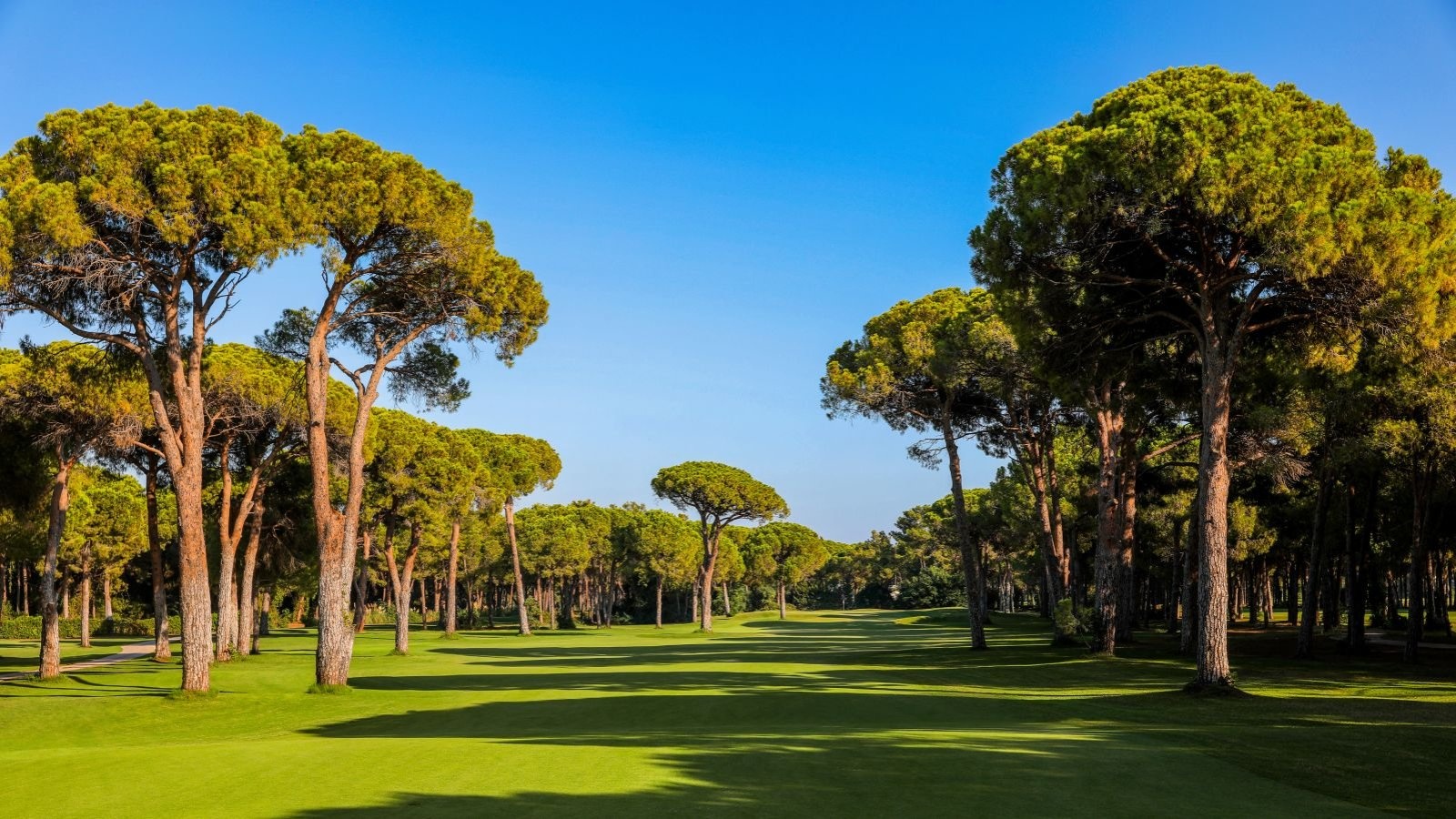 Golf Image