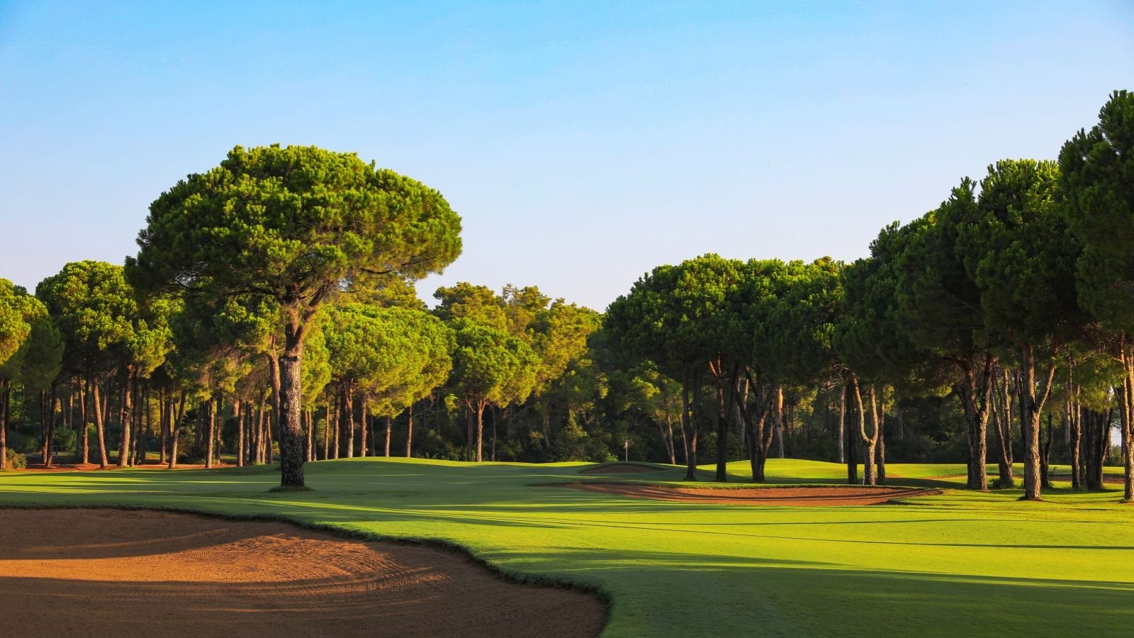 Golf Image