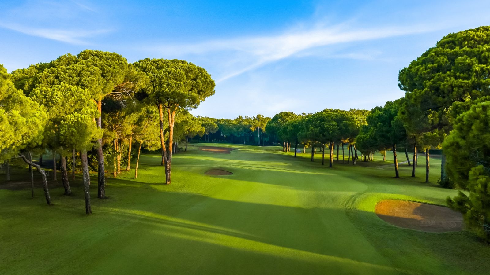 Golf Image