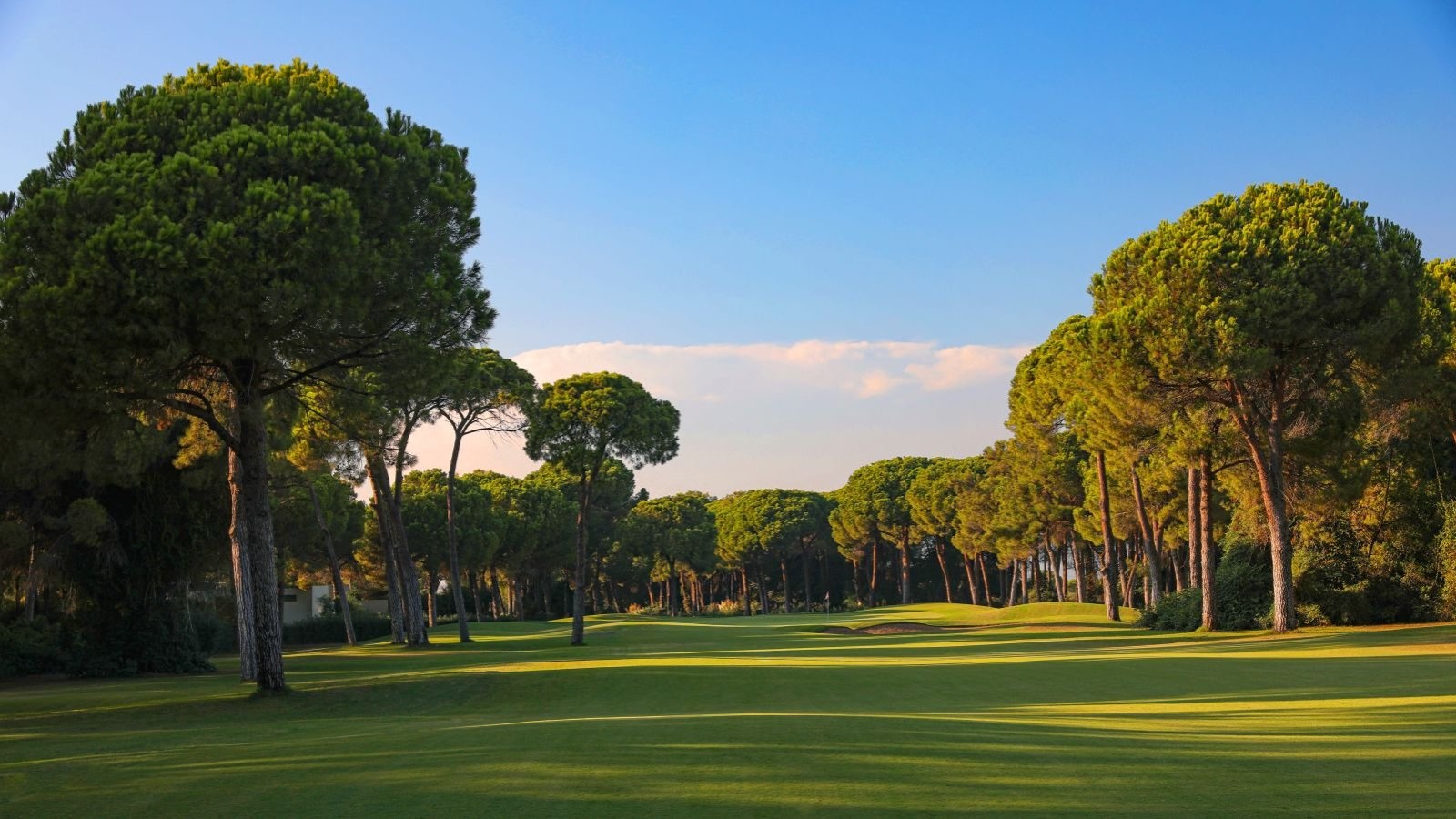 Golf Image