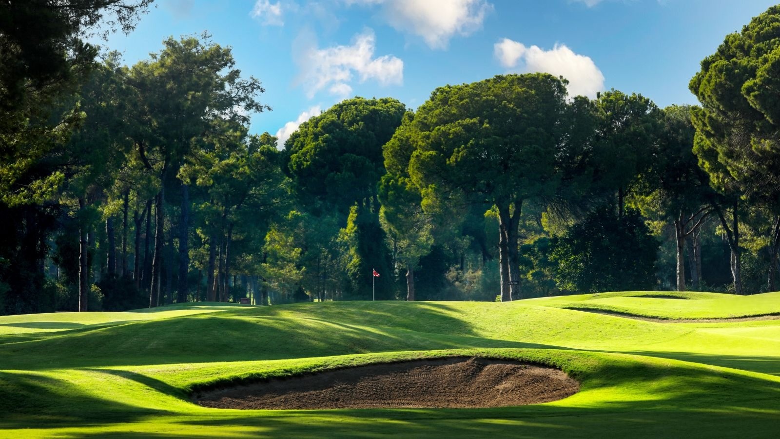Golf Image