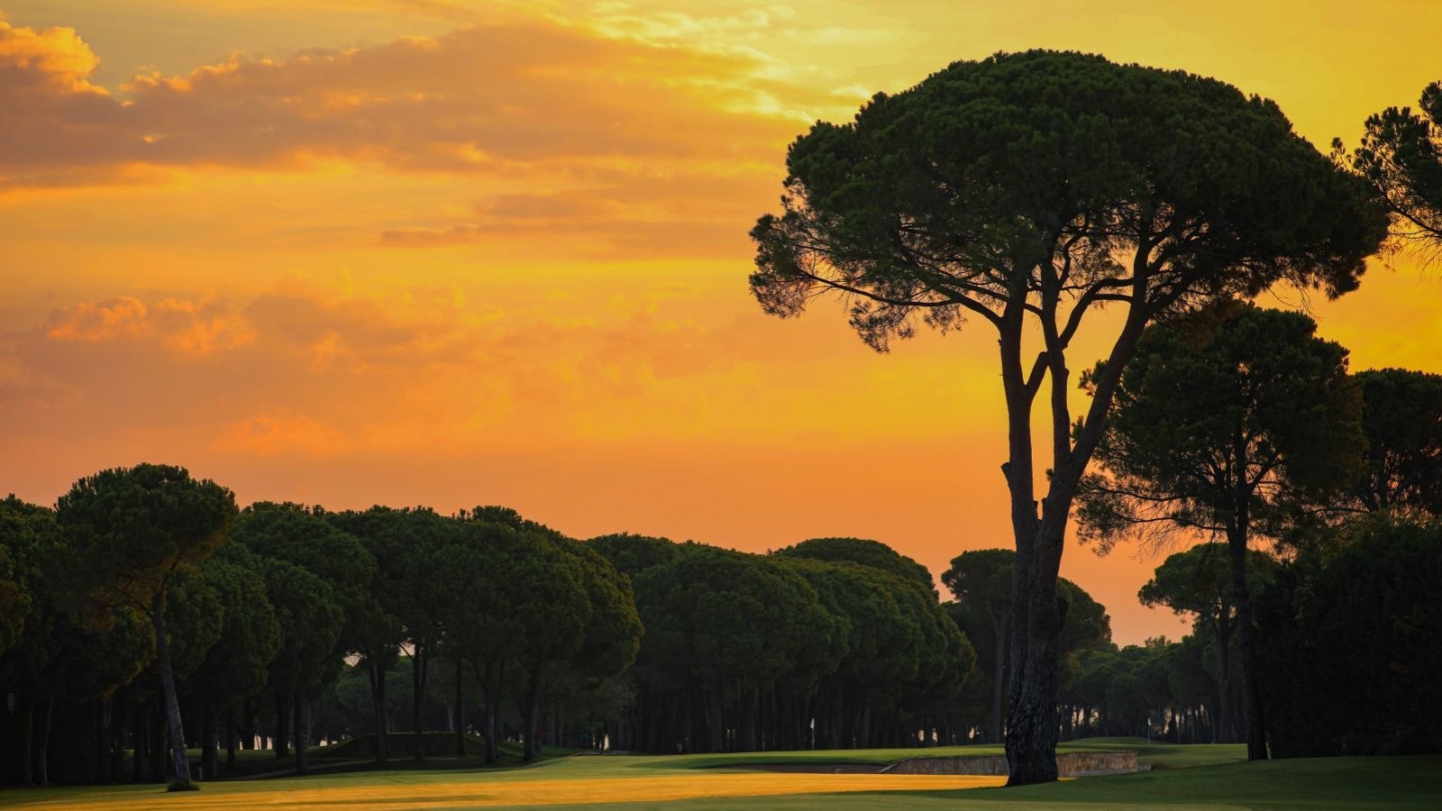 Golf Image
