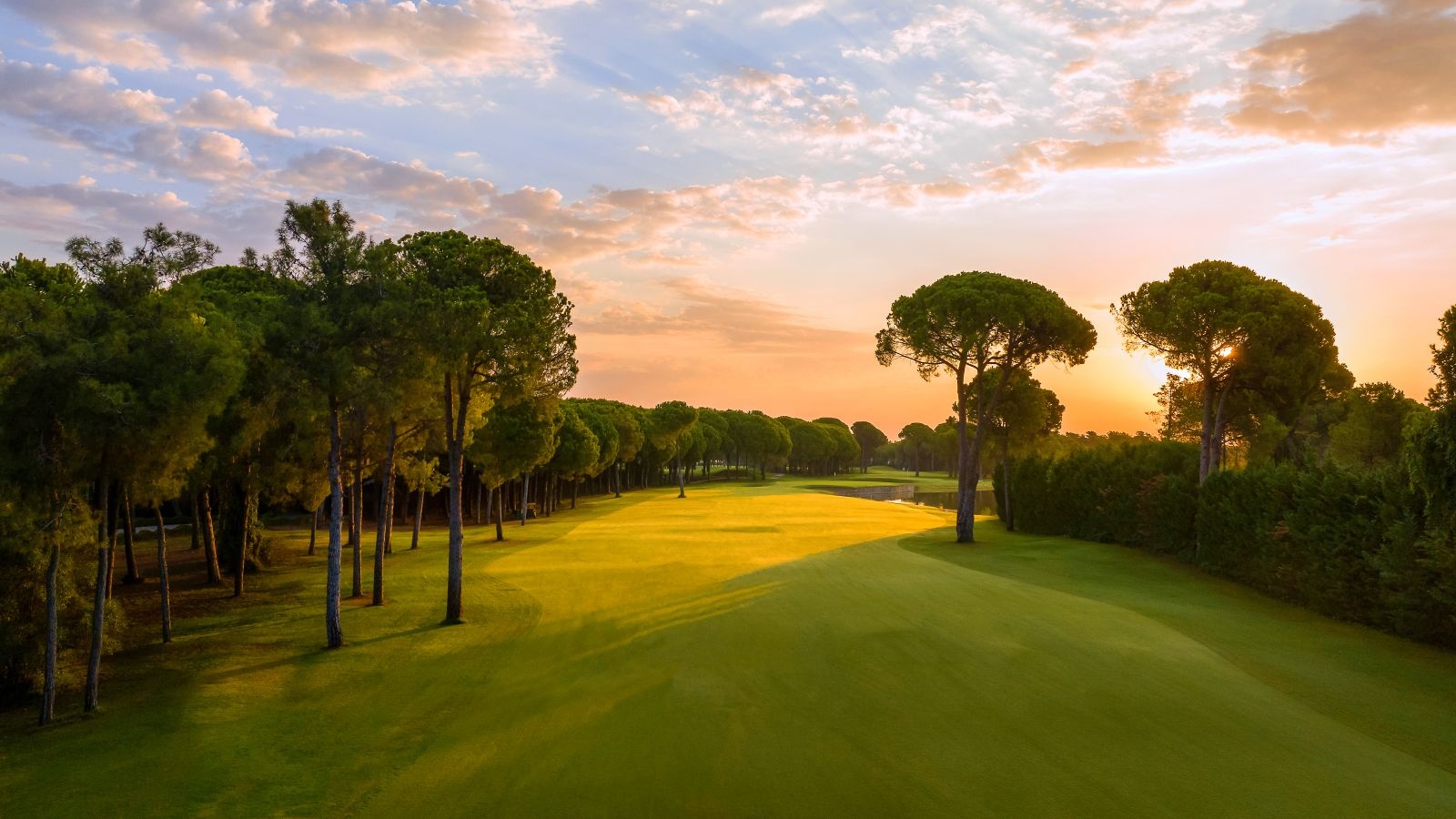 Golf Image