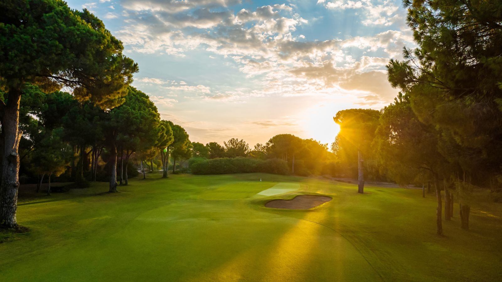 Golf Image