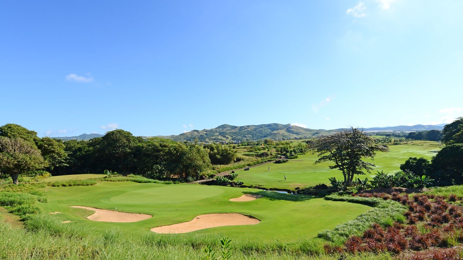 Golf Image