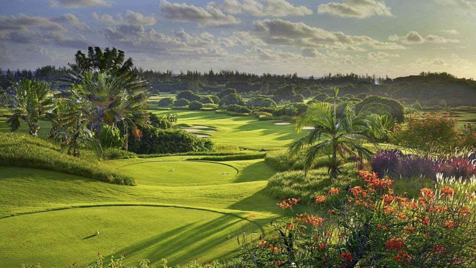Golf Image