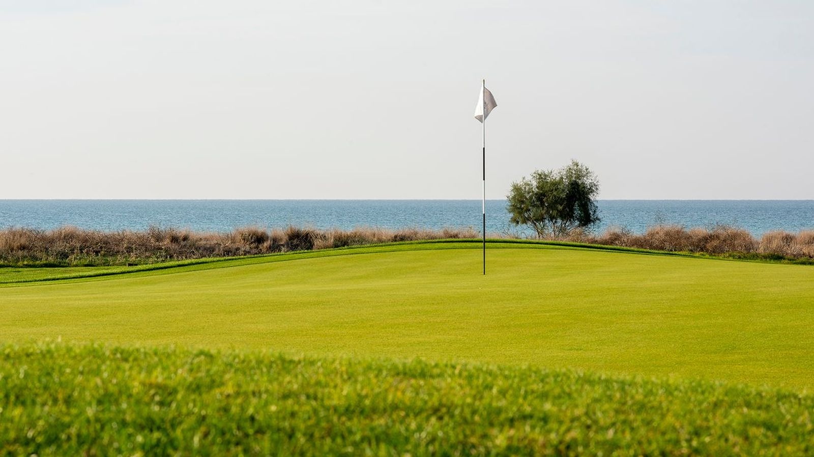 Golf Image