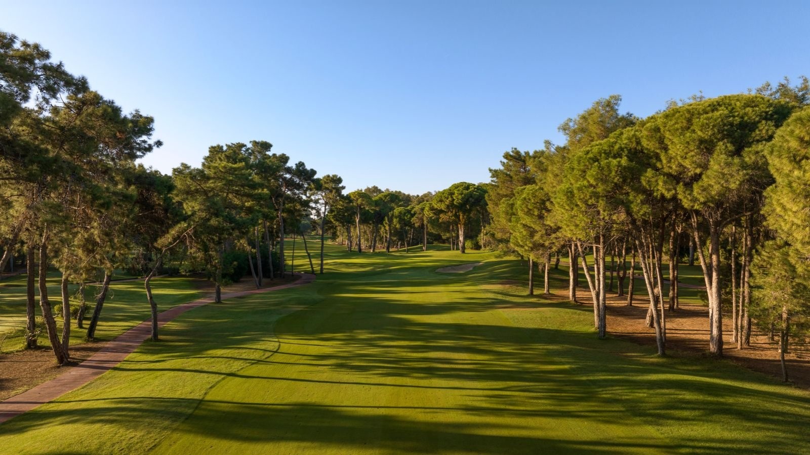 Golf Image