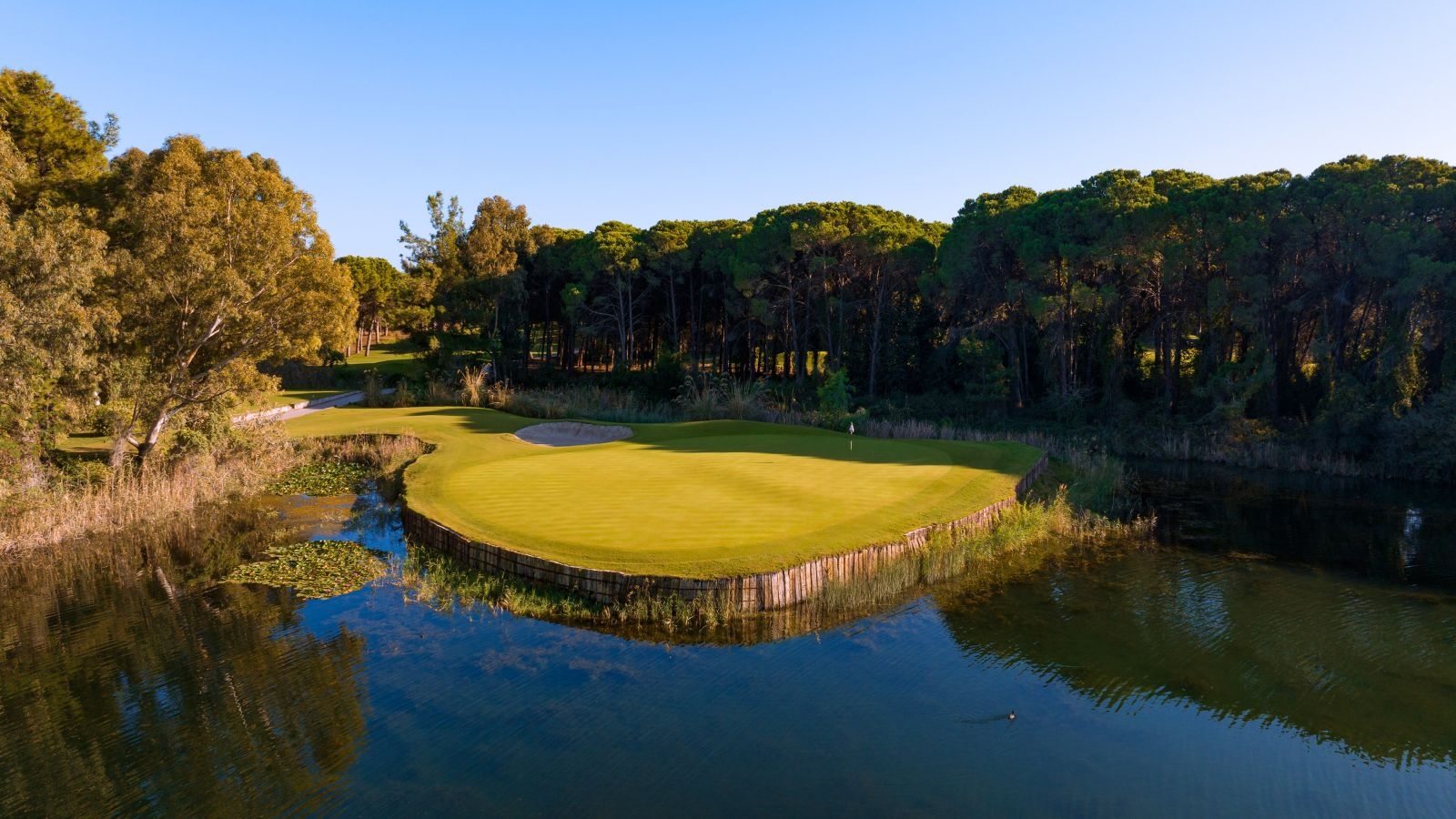 Golf Image