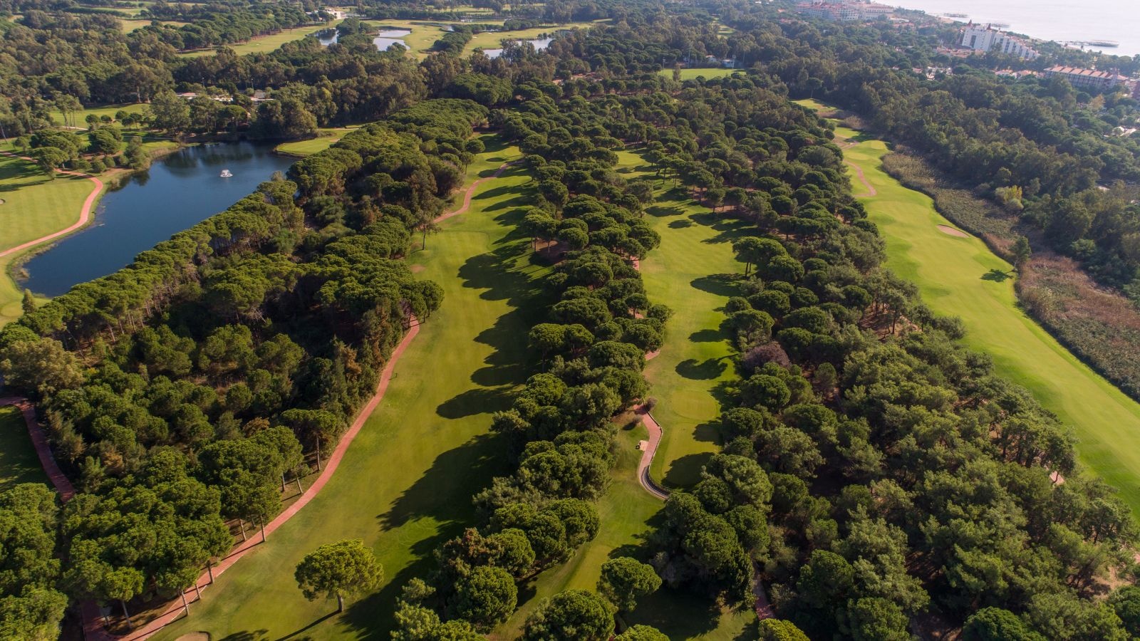 Golf Image