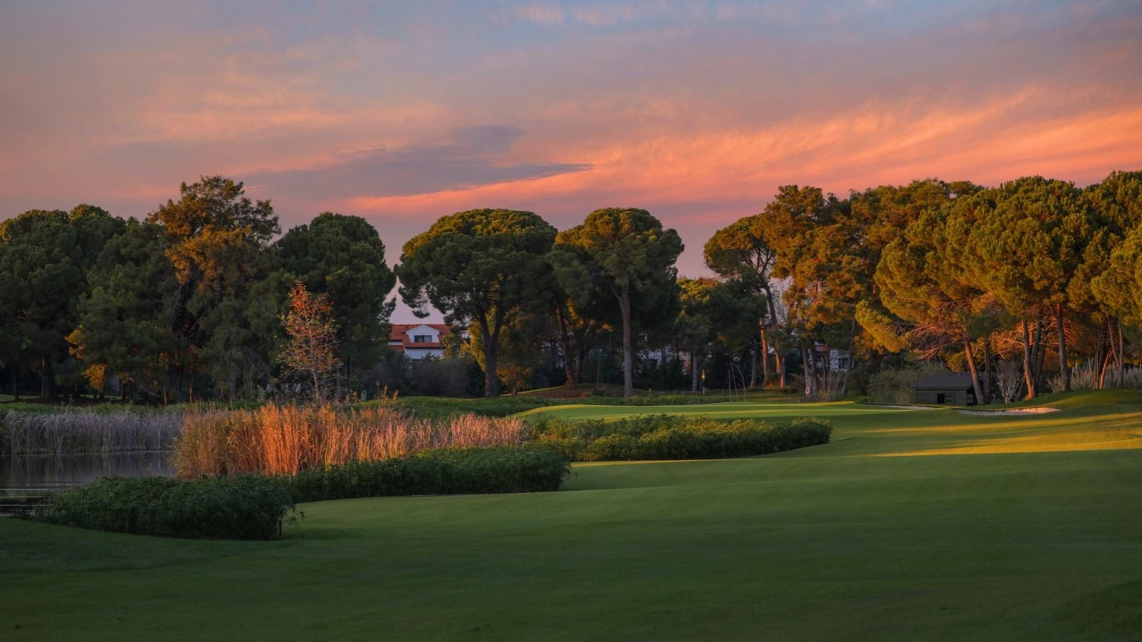 Golf Image