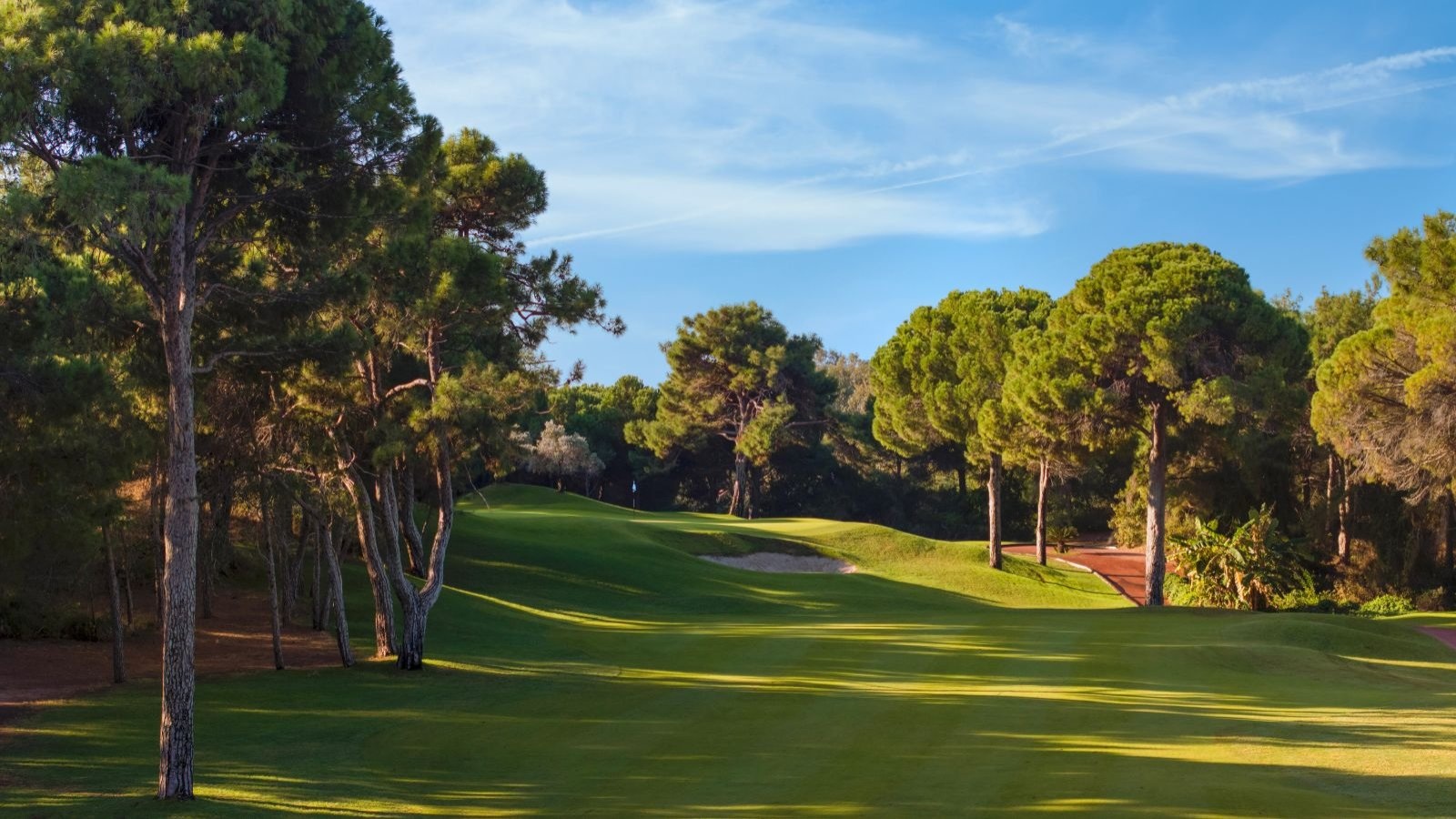 Golf Image