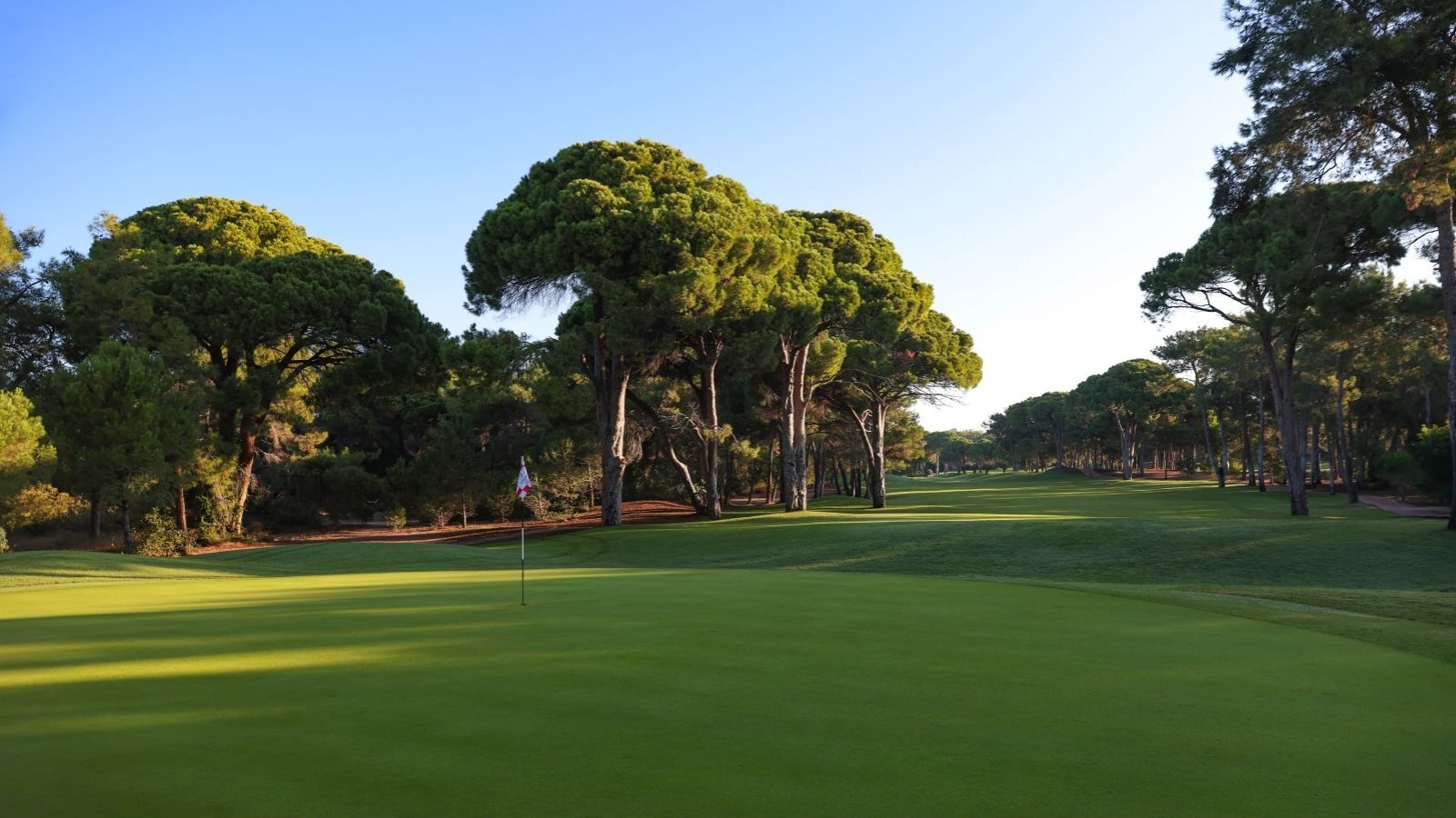 Golf Image