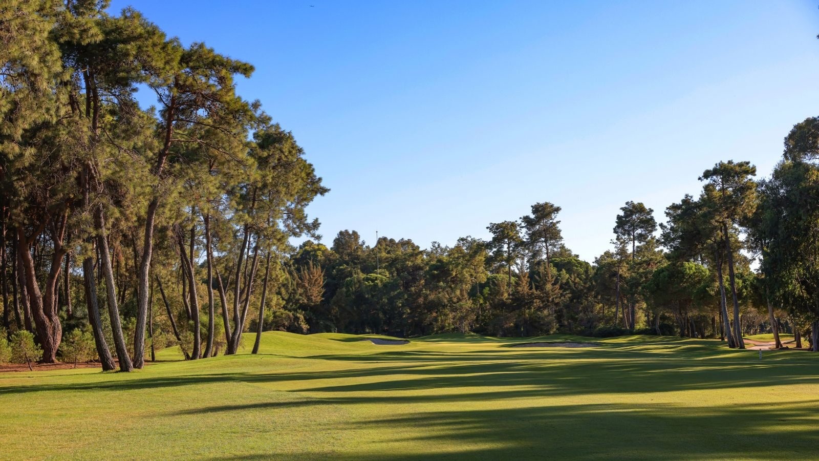 Golf Image