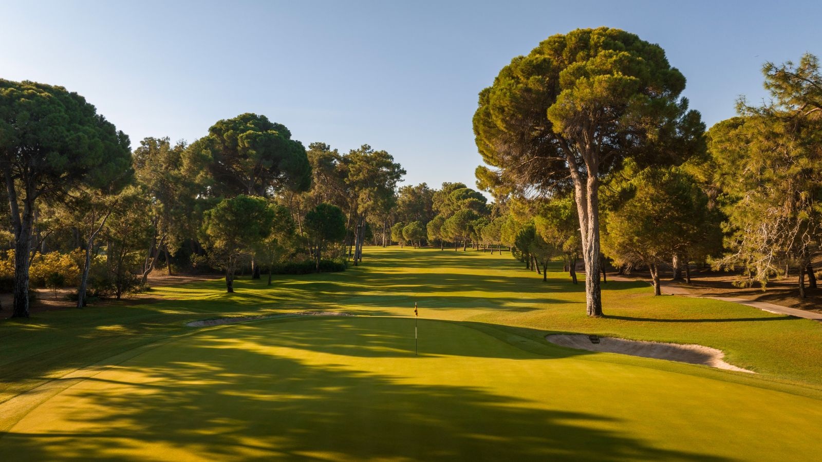 Golf Image