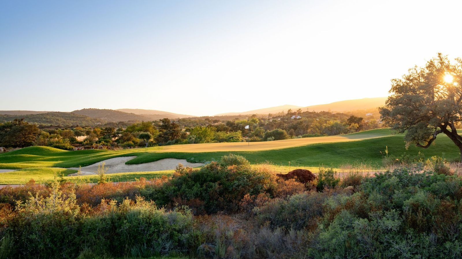 Golf Image