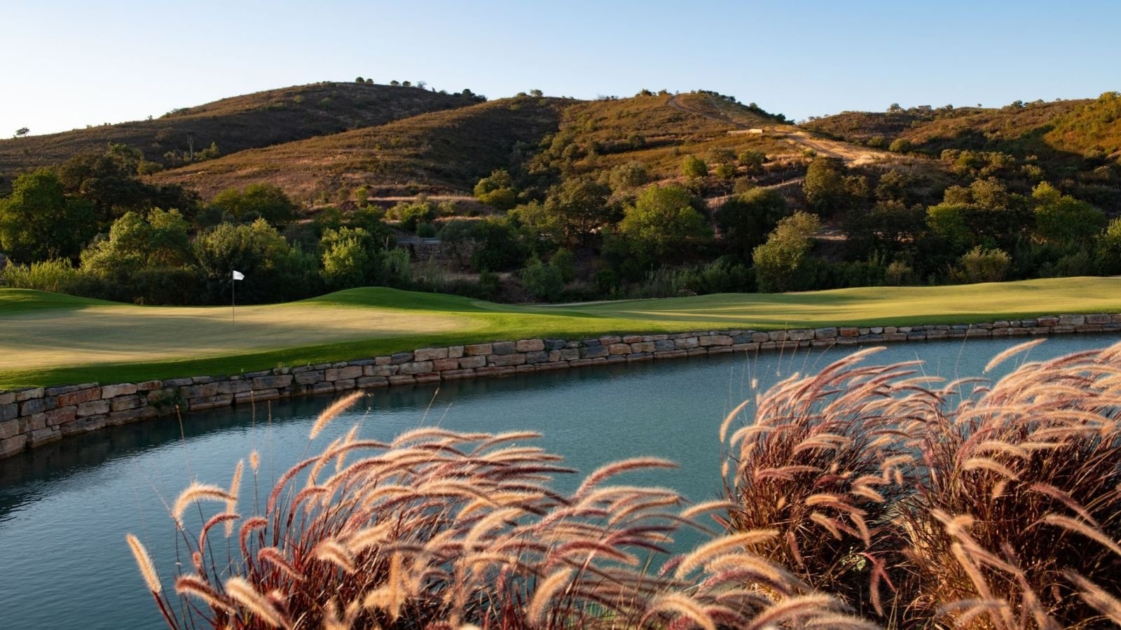 Golf Image